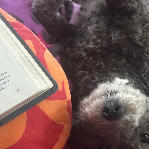 My Posh “BOSS” and Buddy “Bella”! - Picture 3 of 8